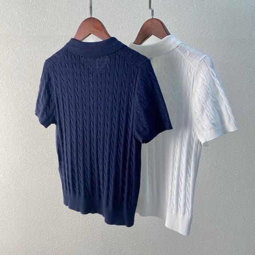 2025新款拉夫Polo翻领短袖小麻花针织衫! 商品图3