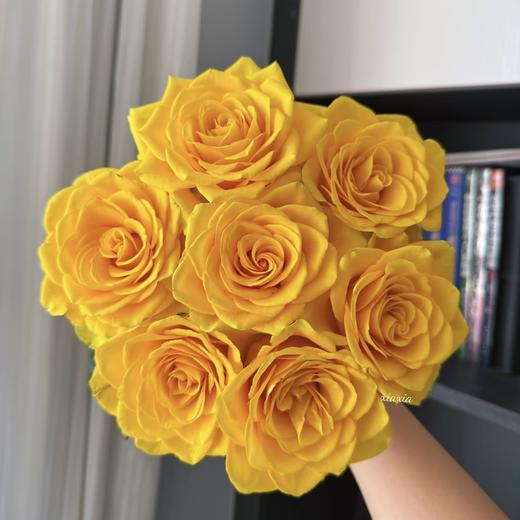 30枝 雪山玫瑰-黄色系  | 新客福利 商品图3