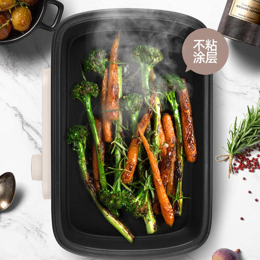 艾美特多功能料理锅CH1516 商品图4