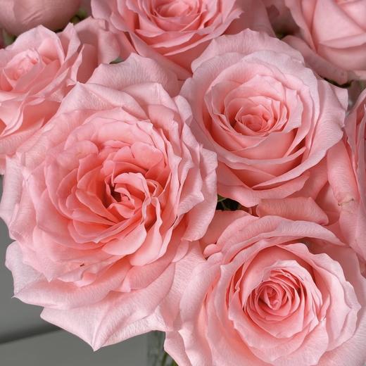 【蜜糖陷阱】玫瑰-粉色系 40cm 10枝 | 公众号专享 商品图2