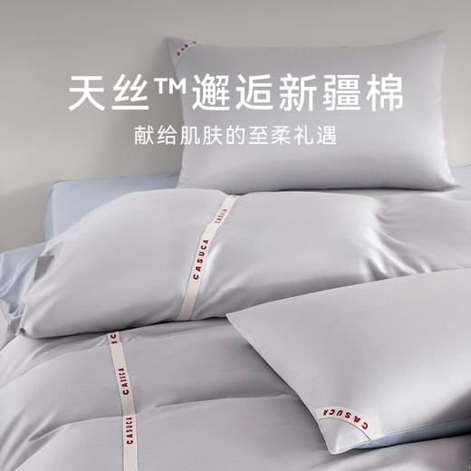 CASUCA 瑞吉娜天丝棉四件套60支春夏新品床单款母婴级 商品图1