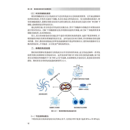 猴痘防治实用手册 王辉 刘晓宁主编 猴痘的临床特征 流行病学趋势和变化 医疗照护策略 猴痘疫苗及相关药物展望等 人民卫生出版社 商品图4