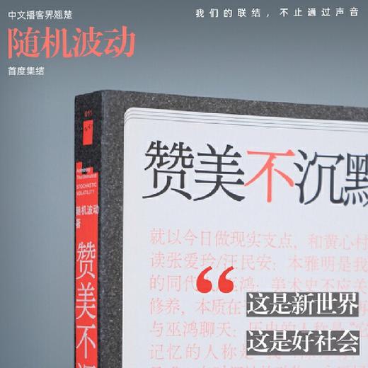 赞美不沉默 商品图4