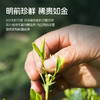 2026年新茶【上瘾老茶树】卢正浩明前一级龙井绿茶茶叶罐装50克绿茶茶叶 商品缩略图1