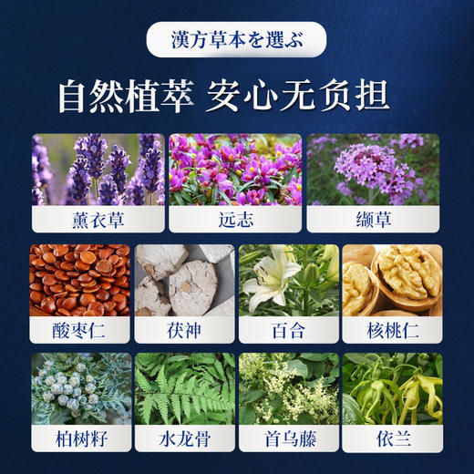 日本进口 川岡薬局养神贴 起床不累气色精神好 植物植萃 整晚持久缓释 商品图4