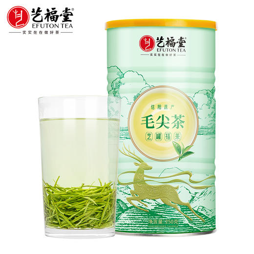 艺福堂信阳原产毛尖茶特级250g/罐 商品图0