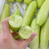 海阳白玉黄瓜奶油黄瓜 商品缩略图8