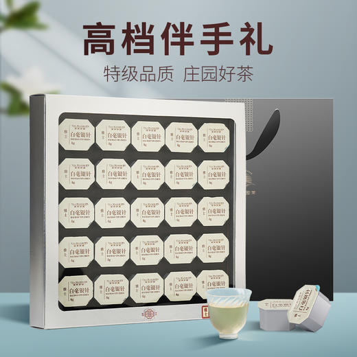 【赠观山杯】华祥苑-雅士特级福鼎白毫银针商务礼盒100g 商品图0
