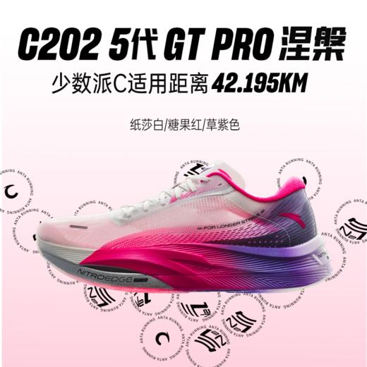 【马拉松】安踏C202 5 GT PRO竞速训练系列女子跑鞋122355561 商品图1