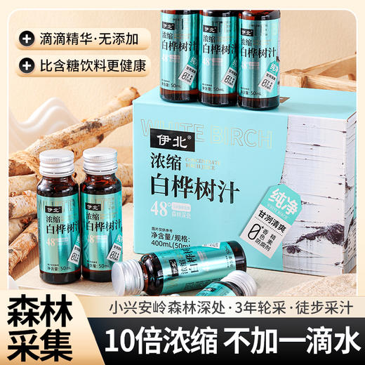 小兴安岭森灵玉液 白桦树汁原汁 寒地白桦的生命琼浆【禁公域销售】 商品图0
