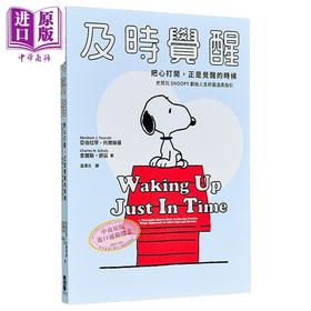 预售 【中商原版】及时觉醒 港台原版 亚伯拉罕托尔斯基 查尔斯舒兹 大牌出版