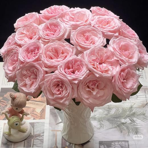 【蜜糖陷阱】玫瑰-粉色系 40cm 10枝 | 公众号专享 商品图1