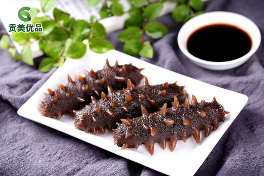 山东烟台鲜食海参 原生态 零添加 原汁原味 500g/袋（6头/10头） 商品图2