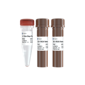 AccurSTART II U+ One Step RT-qPCR Super Premix (Fast & One Tube)
