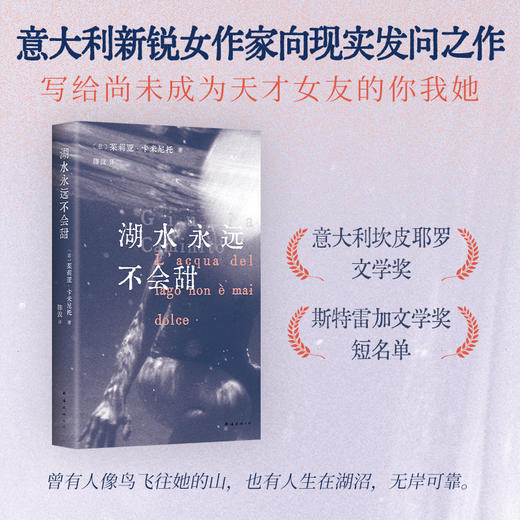 湖水永远不会甜 商品图0