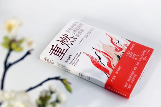 重燃：治愈抑郁与心理创伤的新图谱 商品图4