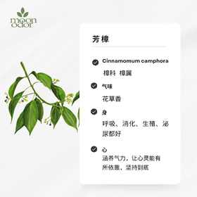 芳樟精油  【香气028】