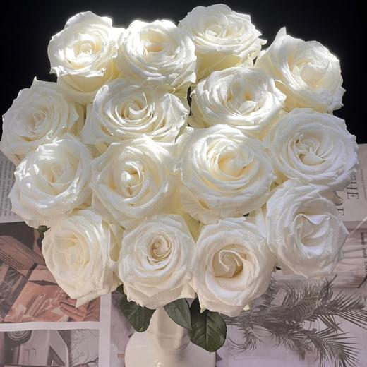 【月光锻铸】玫瑰-白色系-白色40cm 10枝  | 新客福利 商品图1