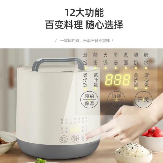 艾美特多功能钛电饭煲CF2005 商品图5
