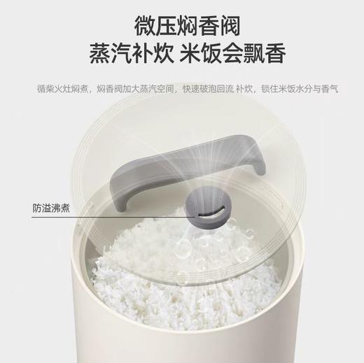 艾美特多功能钛电饭煲CF2005 商品图4