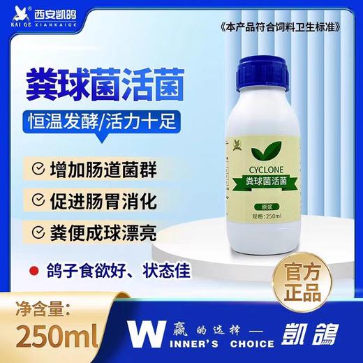 凯鸽【粪球菌活菌】赛鸽子药大全鸽用调理肠道拉稀水便绿便凯哥鸽药 商品图0