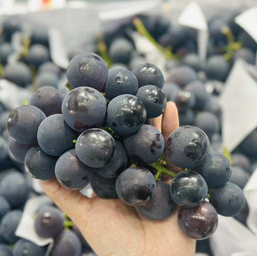 巨峰葡萄🍇（500g/盒/斤） 商品图1
