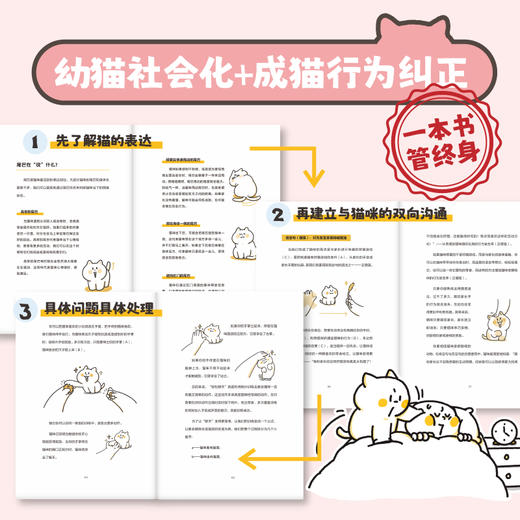 零压力猫咪行为训练 商品图2