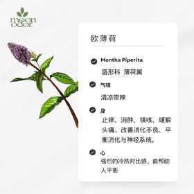 有机欧薄荷精油  【香气037】