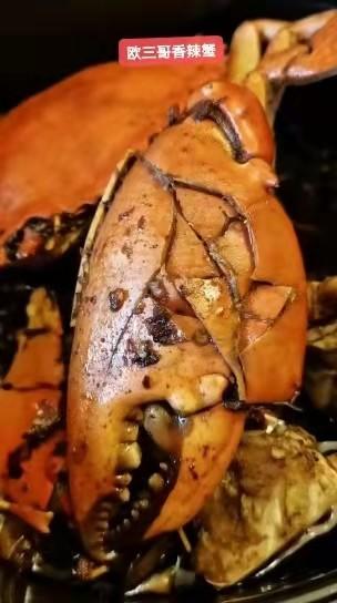 【1.5斤超大号印尼蟹】1只 商品图2