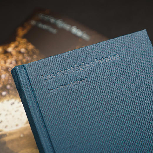 致命的策略 （棱镜精装人文译丛） 商品图4