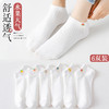 【纯色纯棉6双！简约百搭】夏日清新搭配，水果天气布标；可甜&可颜！可爱低帮袜子女，透气吸汗，舒适柔软。小清新日系风，春夏薄款短袜，女孩们的潮流必备！ 商品缩略图0