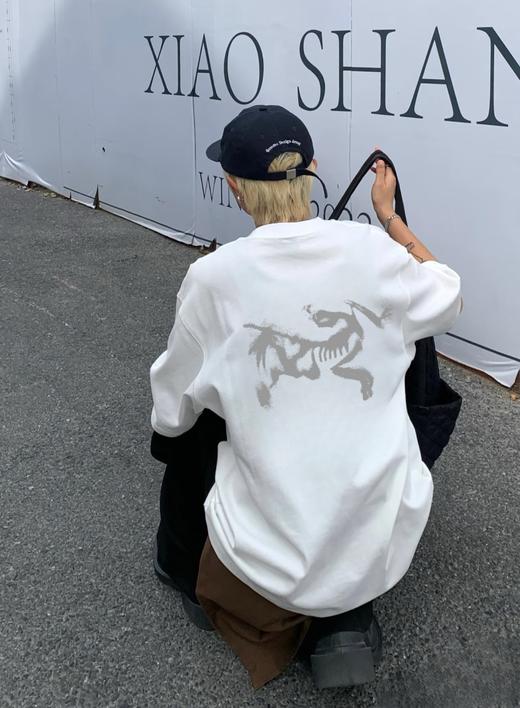 25SS新款重磅幻影鸟圆领短袖T恤 Z-15166 商品图3