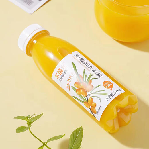华盛元·沙棘果汁300ml*10  酸甜醇厚  酸甜适口 商品图4