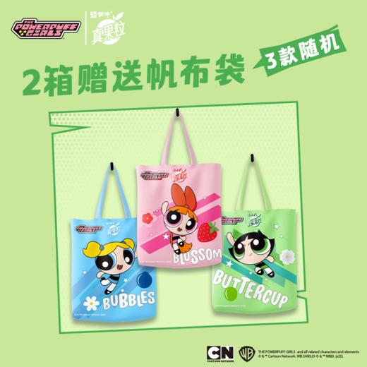 【飞天小女警联名装】真果粒花果奶昔酸奶饮品PET瓶 商品图2