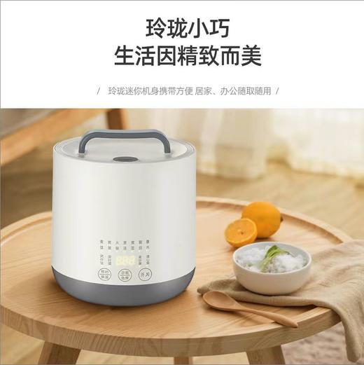 艾美特多功能钛电饭煲CF2005 商品图2