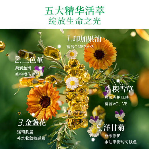 【品牌旗舰】WELEDA维蕾德superfood滋润滋养日霜晚霜40ml 商品图4