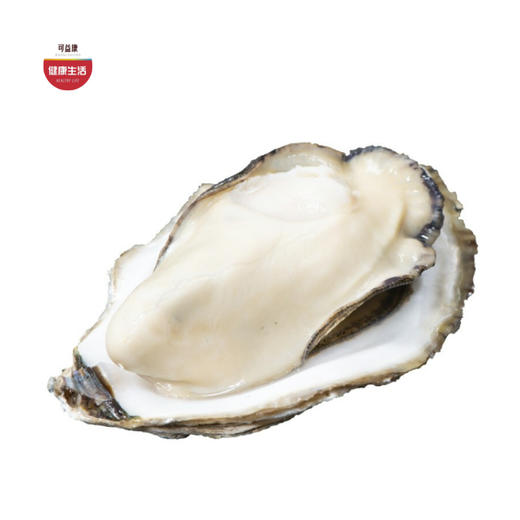 优选|鲜活乳山生蚝 鲜活到家  饱满可口 个大肉肥  5斤装 （带开蚝工具） 商品图0