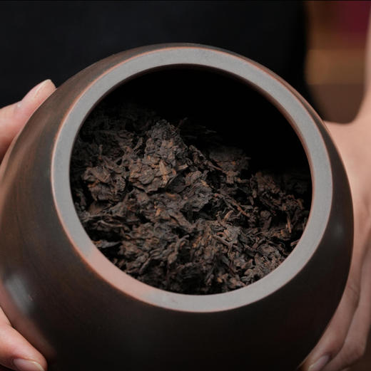 濡菲丨韦洁群1988·传统手作六堡茶500g 商品图3