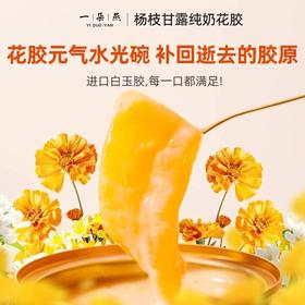 一朵燕杨枝甘露纯奶花胶 进口白玉胶 又大又Q弹