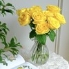 30枝 雪山玫瑰-黄色系  | 新客福利 商品缩略图2