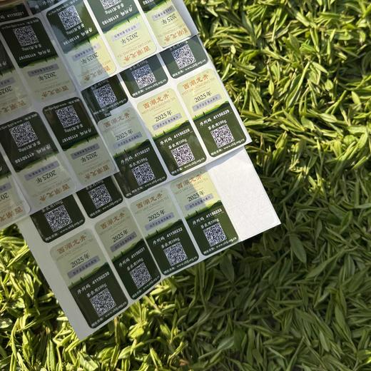 |预售| 梅家坞2026朱阿姨家明前西湖龙井汉周龙井核心产区 仅30斤 商品图8