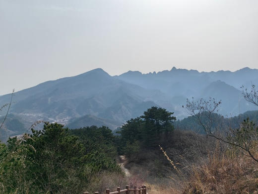 3.14/15【亲子密云古堡掘“金”】亲子•密云古堡掘“金”｜密云徒步赏花-古堡脚下掘“金”-当一日“戍边采姜人” 商品图7