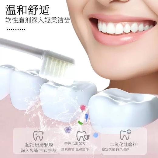 河马护士-口腔防蛀膏120g（成人型） 商品图3