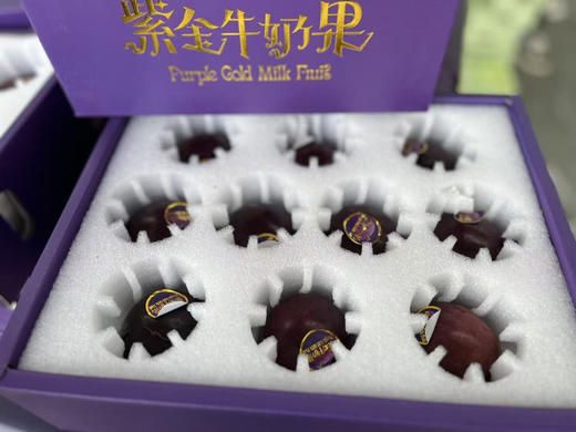 牛奶果，被誉为“树上可以挤出牛奶喝的果子”，是一种独特的热带水果
牛奶果呈芒星形，果肉嫩滑，溢出白色果汁，散发淡淡的奶香，口感独特，清新爽口～ 商品图1