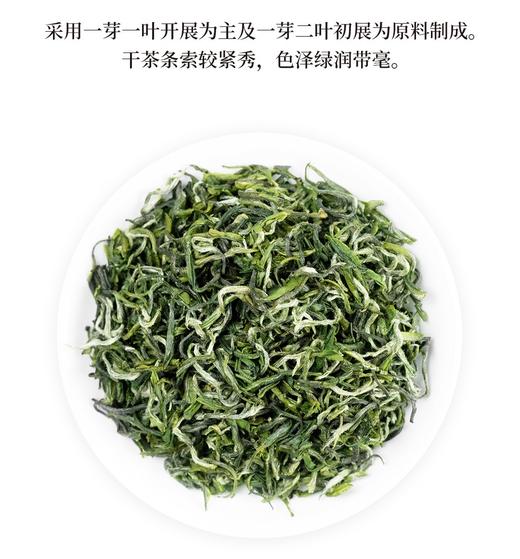 2025新茶 春茶武当道茶二级绿茶  100g/罐【全国包邮，部分地区除外】 商品图1