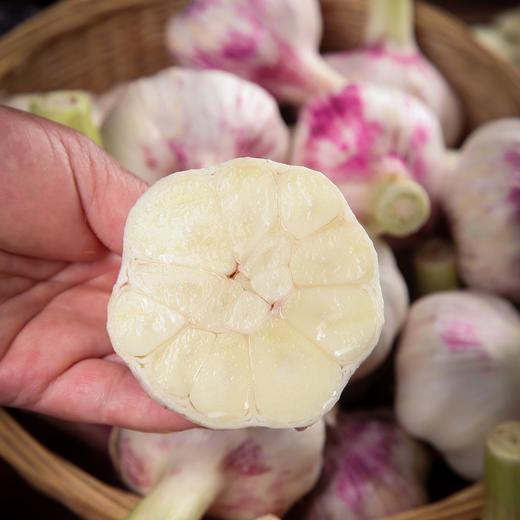云南紫皮鲜蒜3/5斤装 商品图2