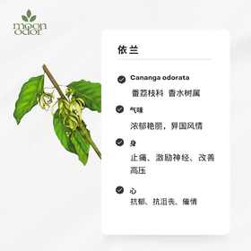 有机完全依兰精油  【香气029】