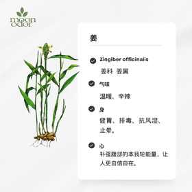 有机姜精油  【香气030】