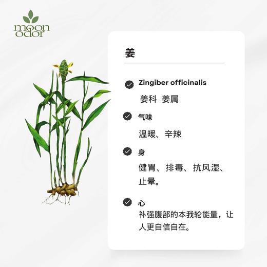 有机姜精油  【香气030】 商品图0