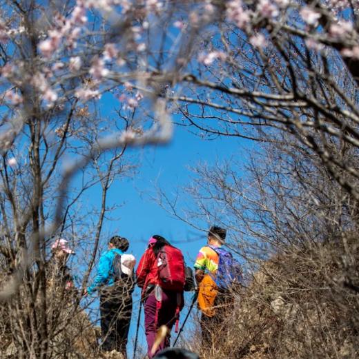 周三 /周末1天【大北梁 68元】环穿野趣の辛庄村-大北梁-北庄村环穿看杜鹃花12公里<初级> 商品图3